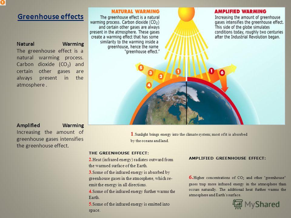 a look into the environmental effects of global warming a look into the environmental effects of global warming