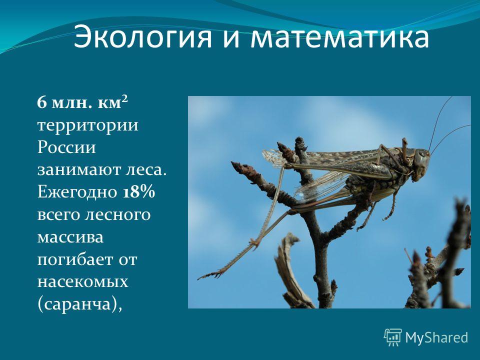 К чему снится шатающийся зуб? Во сне шатается зуб Женские шапки вязаные спицами. 112 фотографий