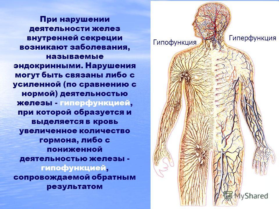 Болезни связанные с нарушением деятельности желез внутренней секреции Болезни связанные с нарушением деятельности желез внутренней секреции