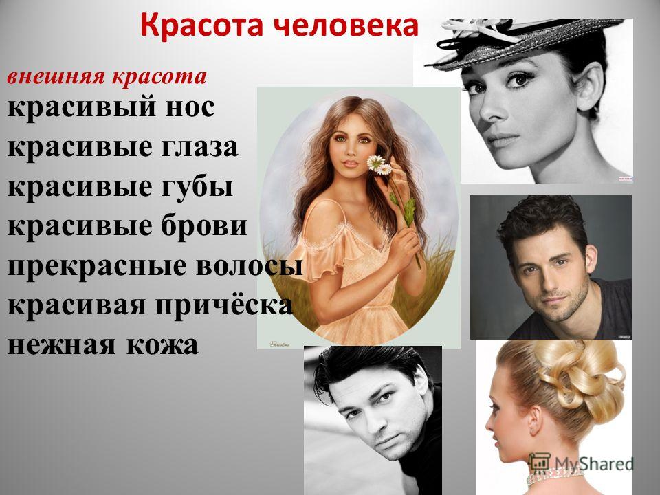 Характеристика красоты человека Характеристика красоты человека