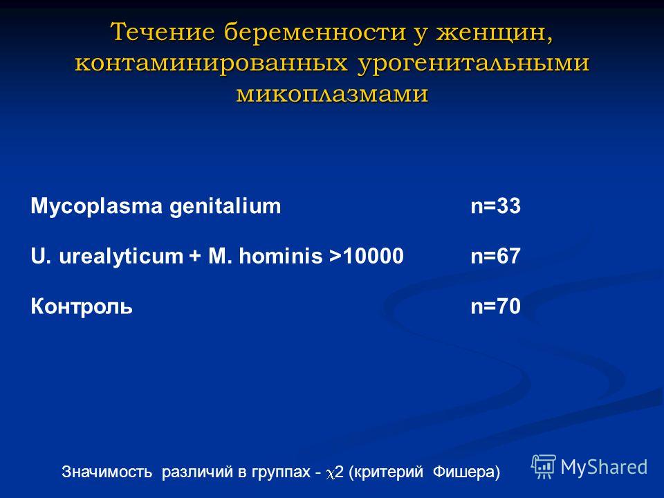 микоплазм у женщин симптомы и лечение микоплазм у женщин симптомы и лечение