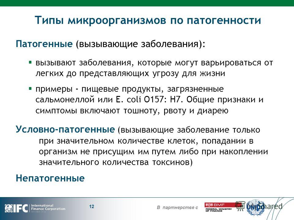 микроскопические паразиты живущие на человеке микроскопические паразиты живущие на человеке