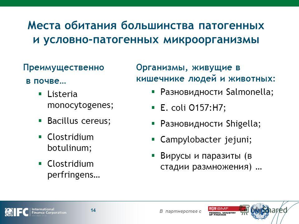 микроскопические паразиты живущие на человеке микроскопические паразиты живущие на человеке