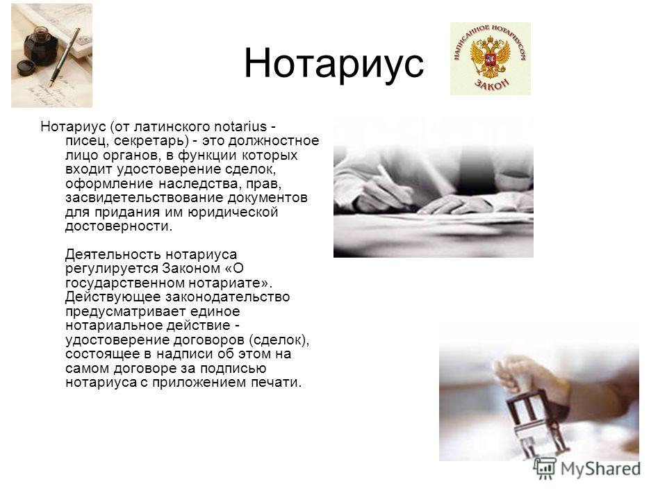 Что такое натариус и чем она занимается все дворик