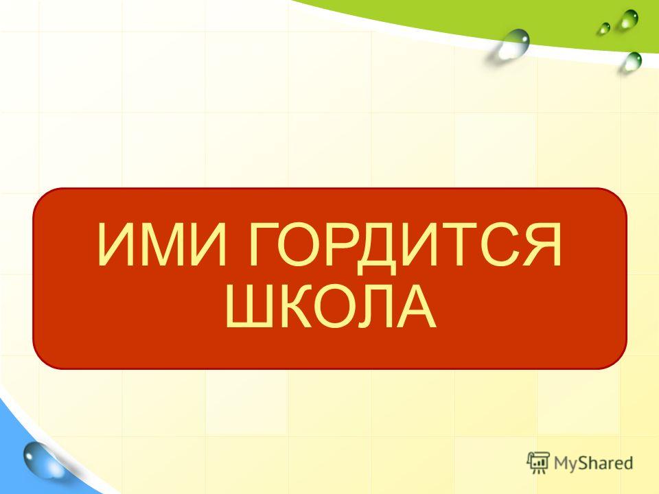 Проект ими гордится школа
