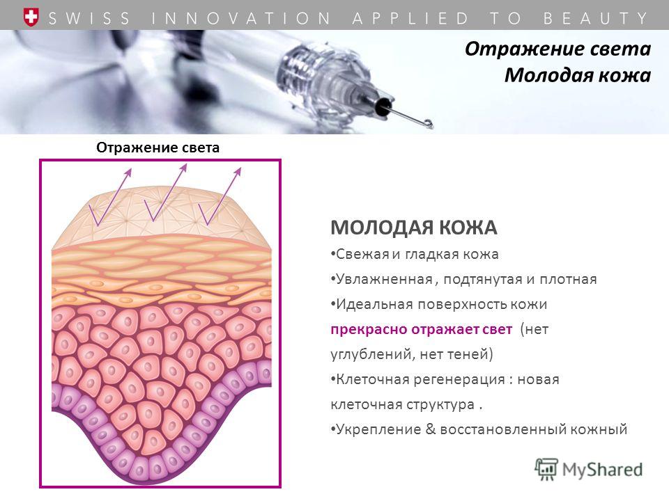 Процесс регенерации клеток кожи Процесс регенерации клеток кожи