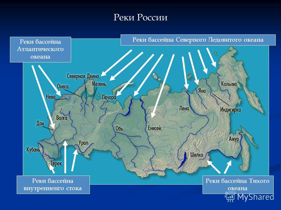 Картинки природы северного ледовитого океана Картинки природы северного ледовитого океана