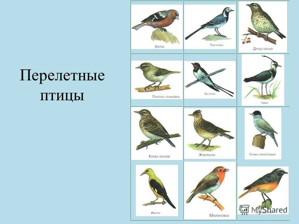 Сделать гончарный круг домашних условиях Сделать гончарный круг домашних условиях