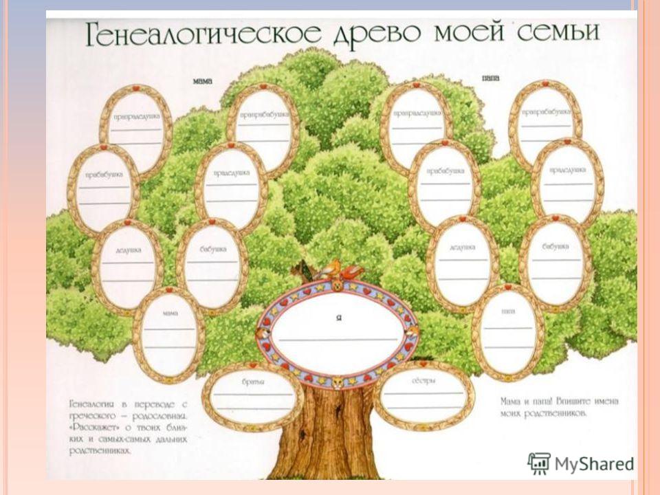 Как сделать родословную семьи на компьютере Как сделать родословную семьи на компьютере