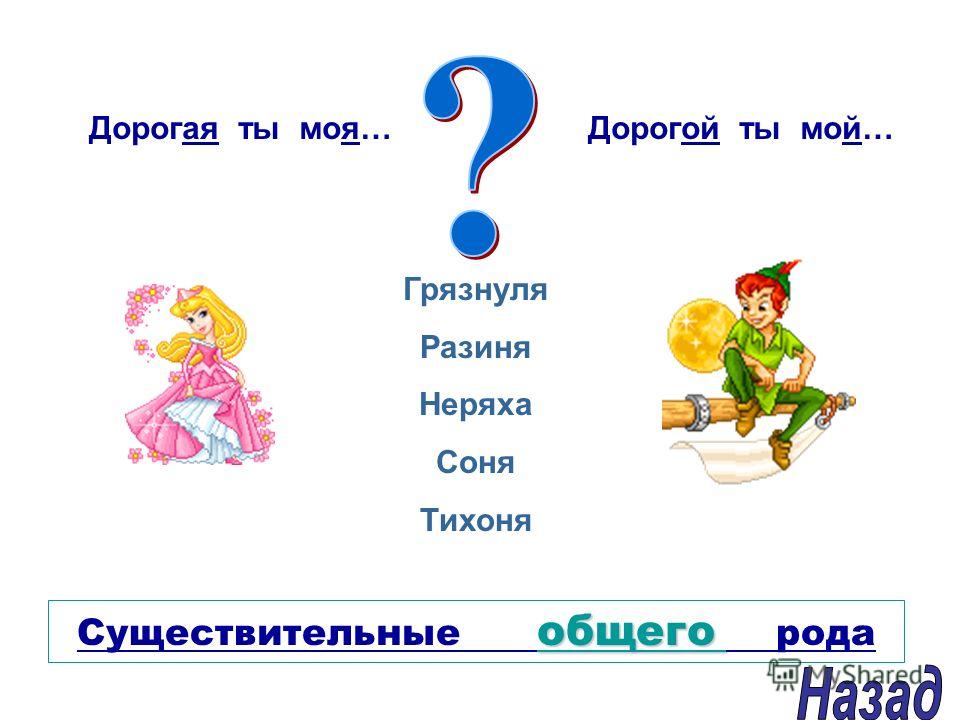 Именины число существительного Именины число существительного