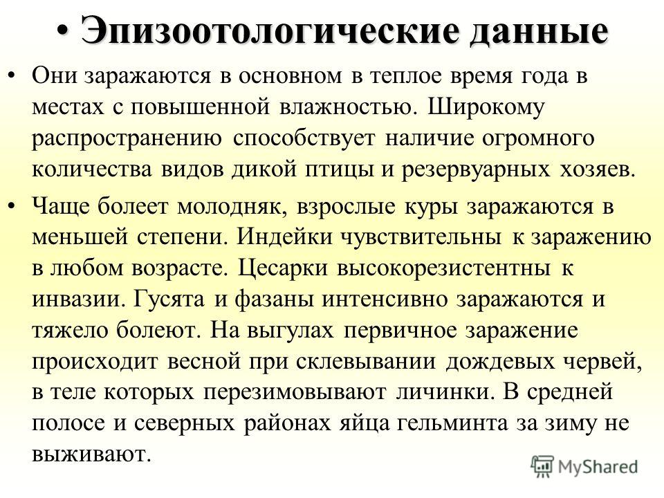 Червь в теле птицы Червь в теле птицы