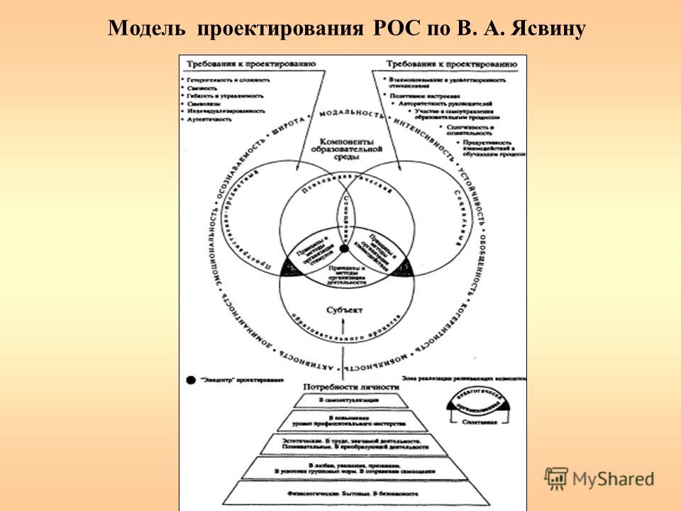 Внимательно рассмотрите рисунок и назовите основные компоненты внешней среды растущего дерева