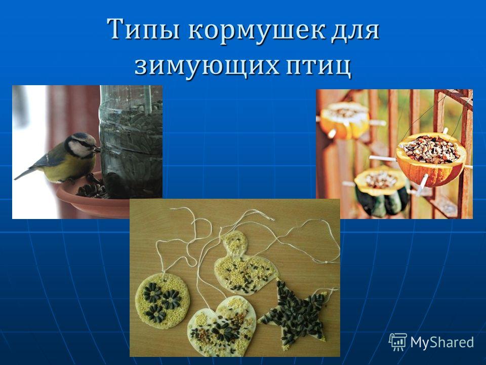 Картинки зимующих птиц кормушек Картинки зимующих птиц кормушек