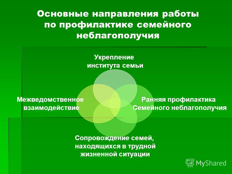 Социальный проект на получение гранта - YandexAuto.ru