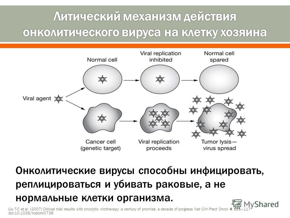 если литичка не помогает