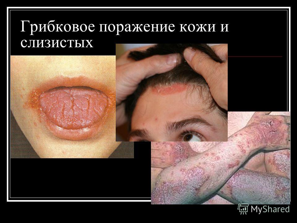 Модели платьев с фото. Фасоны платьев. Какие Какой гель выбрать? качественно и не дорого. - Клуб Нейл Мастеров