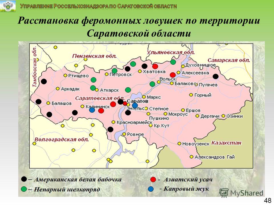 Аптеки Ровное Саратовской Области