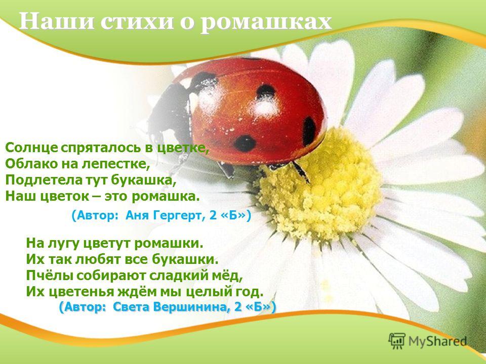 Как представить свое доу на конкурсе Как представить свое доу на конкурсе