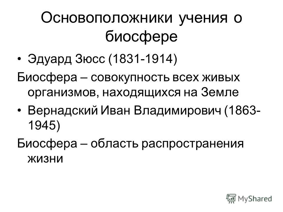 Вышивка рушника тамбурным швом Вышивка рушника тамбурным швом