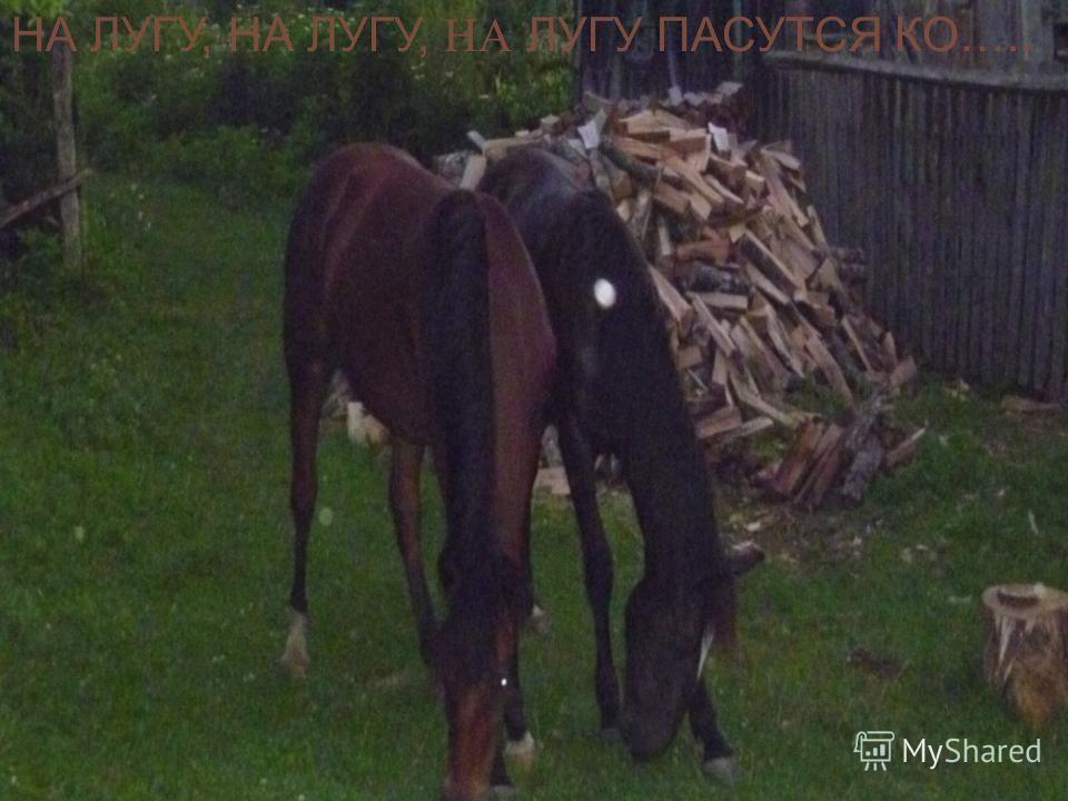 Аппликация на лугу Аппликация на лугу