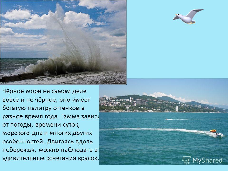 Фото Моря В Разное Время Суток