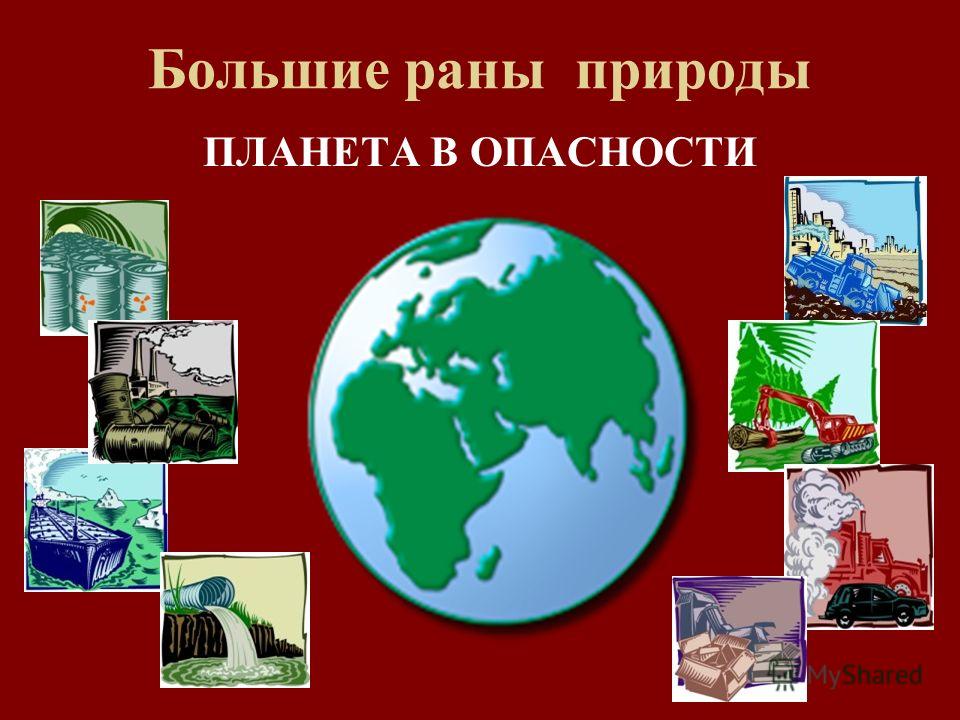 Картинки маленькие раны природы Картинки маленькие раны природы