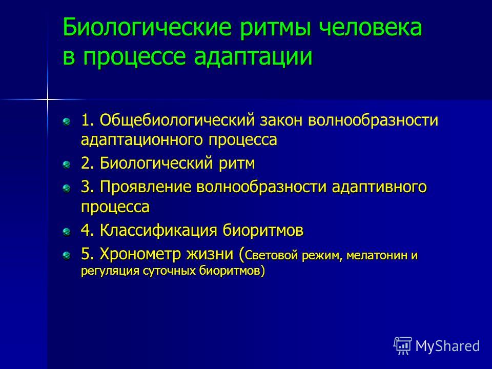 Реферат На Тему Биоритм Внутренние Часы Человека