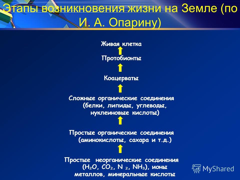 Этапы возникновения жизни доклад 6979