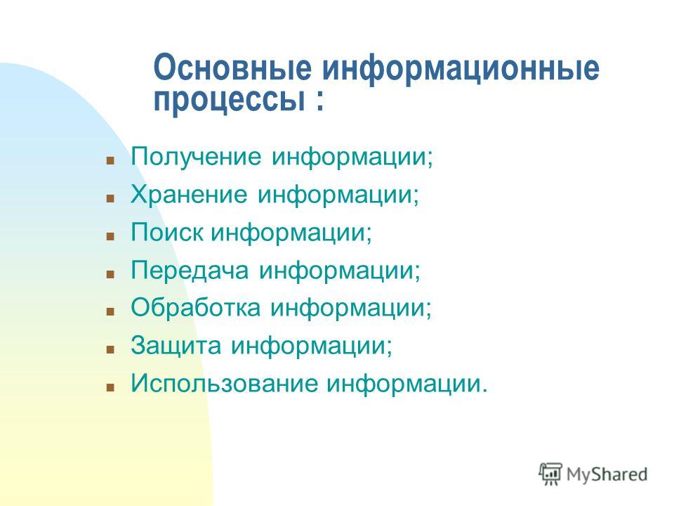 репортер михаил