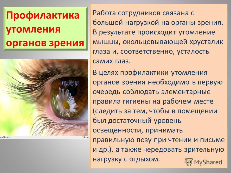 Массаж улитками Ахатинами или улиткотерапия Форум - VITAZONE Маски с коньяком - Красота и здоровье