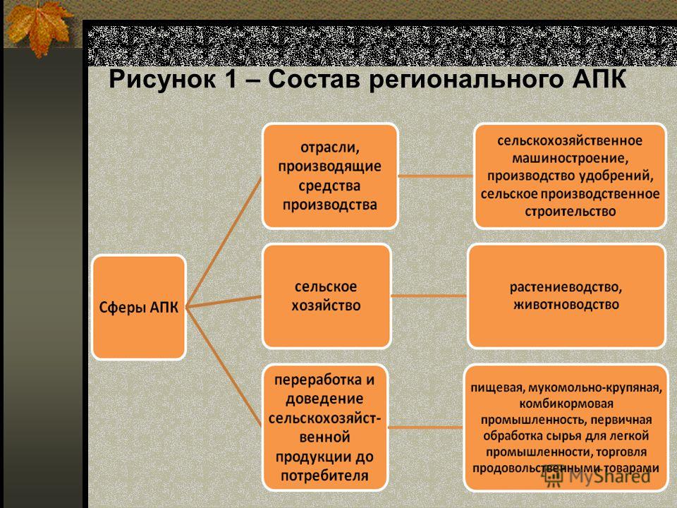 Реферат: Отрасли и предприятия первой сферы АПК