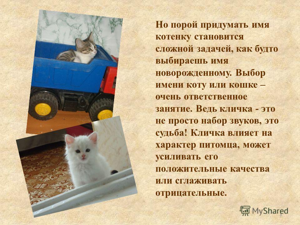 Клички для котов и кошек универсальные Клички для котов и кошек универсальные