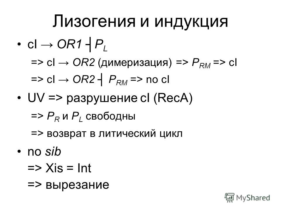 антитоксин это антитело антитоксин это антитело
