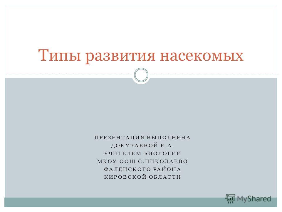 Презентация На Тему Жуки Презентация На Тему Жуки