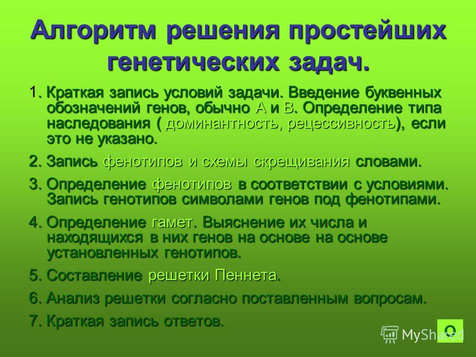 Решение задач на составление алгоритмов 9 класс