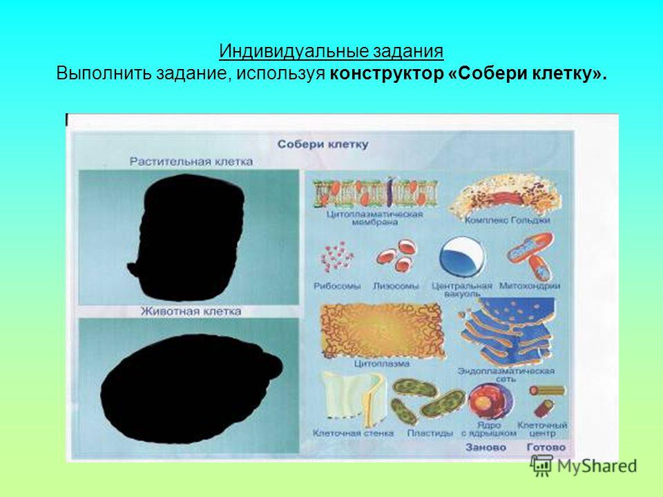 индивидуальные задания для самостоятельной работа студентов индивидуальные задания для самостоятельной работа студентов