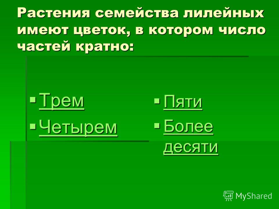 Виды многолетних луговых цветов и трав - Энциклопедия цветов Белый Луговой Цветок Стоковые фотографии - m