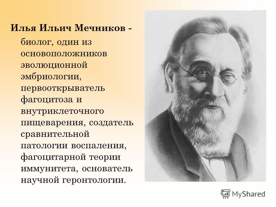 Илья Ильич Мечников - биолог, один из основоположников эволюционной эмбриологии, первооткрыватель фагоцитоза и внутриклеточного пищеварения, создатель сравнительной патологии воспаления, фагоцитарной теории иммунитета, основатель научной геронтологии