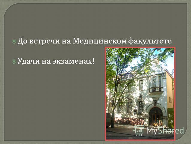 Как успокоить кошку во время течки Сайт для Как сделать красивое селфи: 10советов 24фото