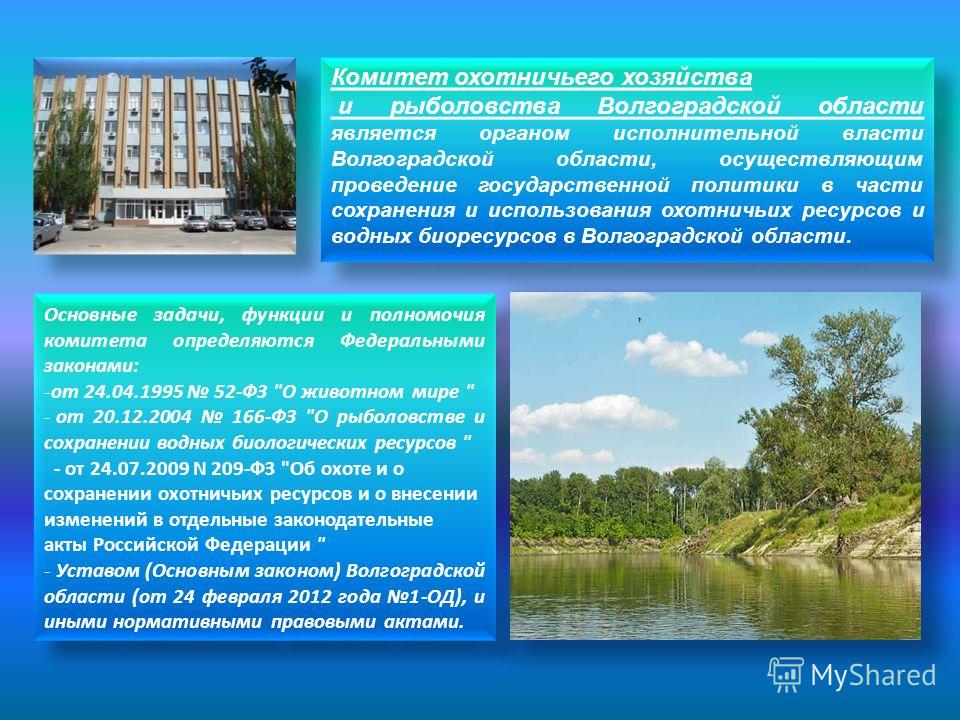 Комитет охотничьего хозяйства и рыболовства Волгоградской области является органом исполнительной власти Волгоградской области, осуществляющим проведение государственной политики в части сохранения и использования охотничьих ресурсов и водных биоресу
