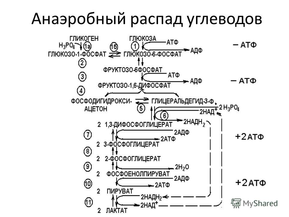 Маникюрный Маникюрный