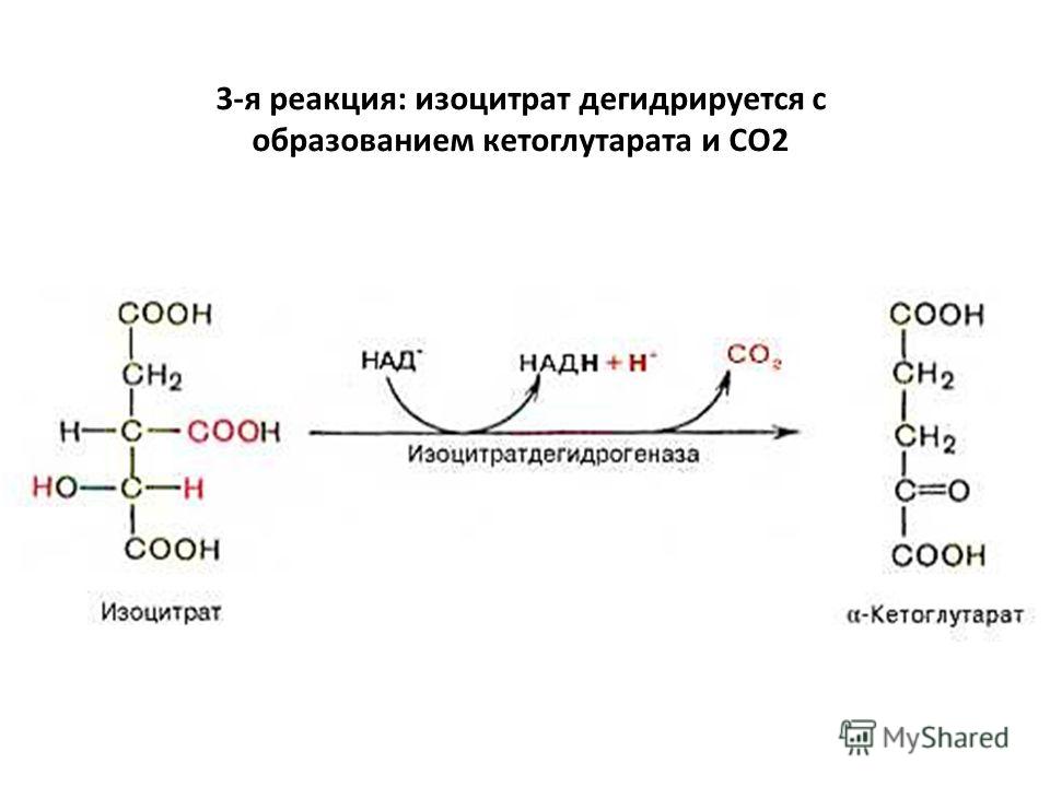 3-я реакция: изоцитрат дегидрируется с образованием кетоглутарата и CO2