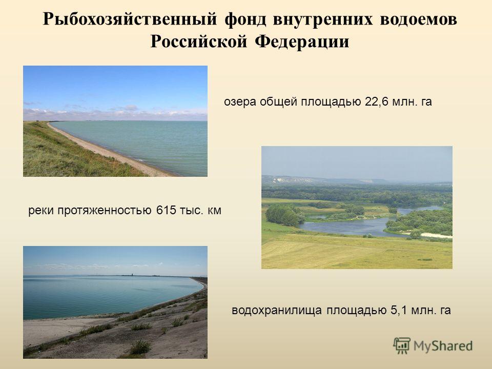 Рыбохозяйственный фонд внутренних водоемов Российской Федерации озера общей площадью 22,6 млн. га реки протяженностью 615 тыс. км водохранилища площадью 5,1 млн. га