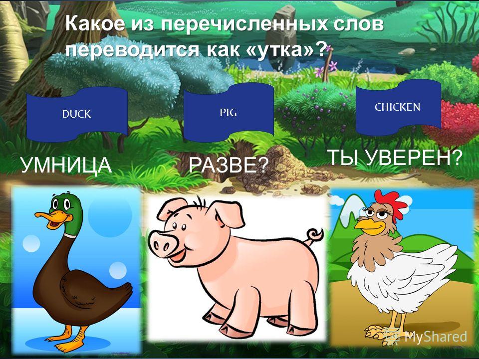 Какое из перечисленных слов переводится как «утка»? DUCK PIG CHICKEN УМНИЦАРАЗВЕ? ТЫ УВЕРЕН?
