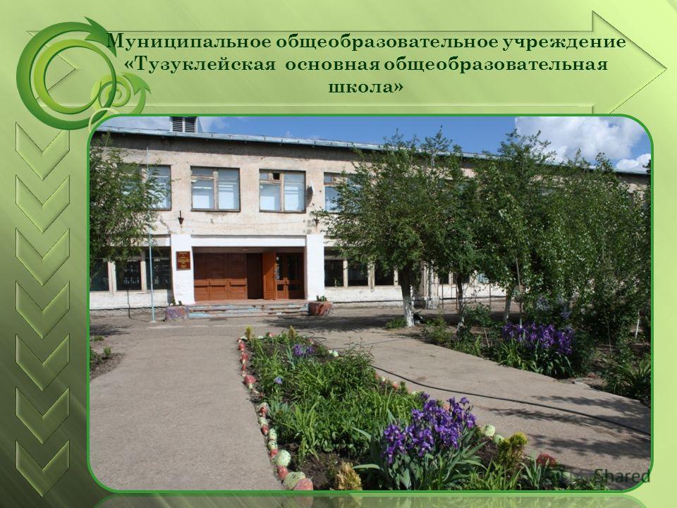 Муниципальное общеобразовательное учреждение «Тузуклейская основная общеобразовательная школа»