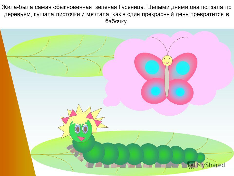 Polite Caterpillar Вежливая Гусеница Greeting - приветствие Saying Good-Bye - прощание Spoken English Language (SEL) Разговорный Английский Язык (РАЯ) БЛОК I (1)