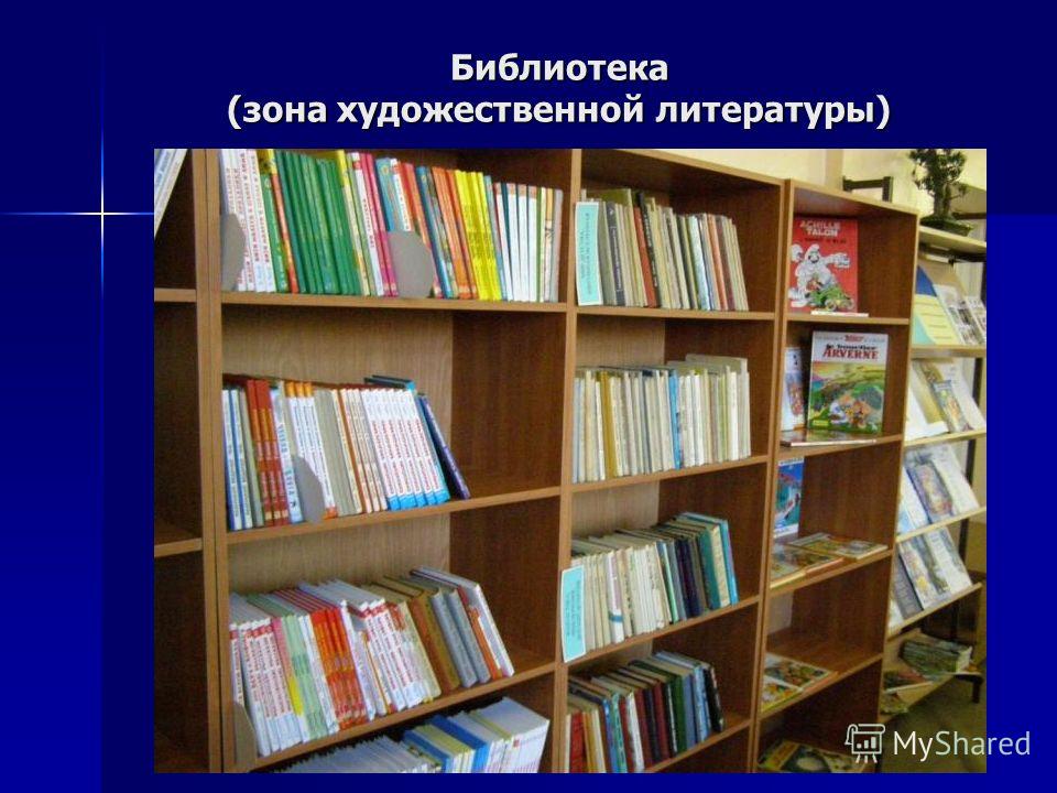Библиотека (зона художественной литературы)