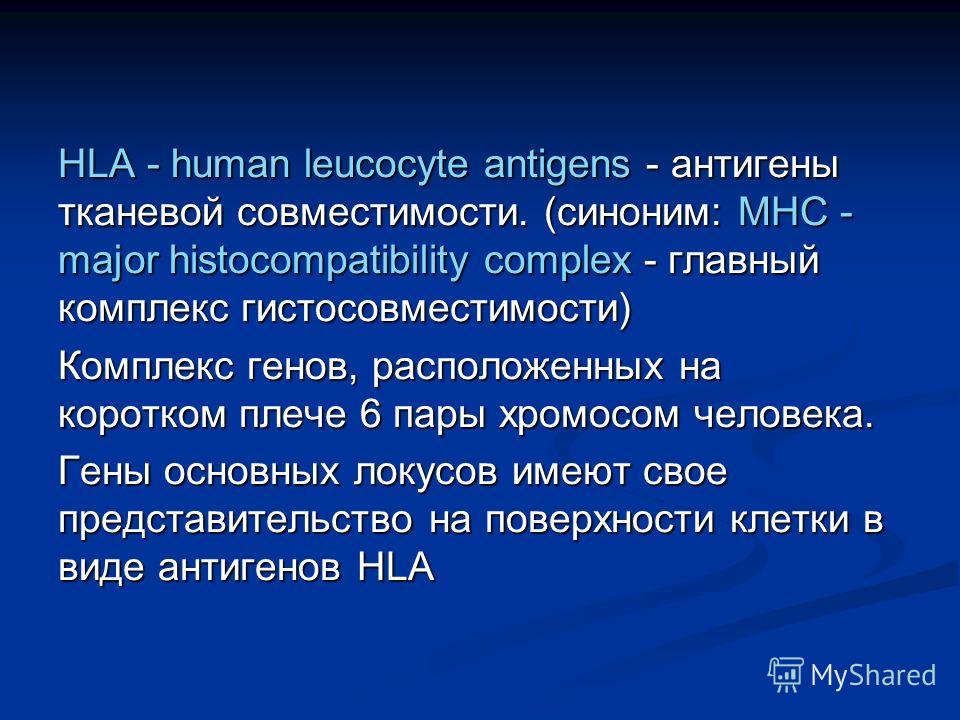 HLA - human leucocyte antigens - антигены тканевой совместимости. (cиноним: MHC - major histocompatibility complex - главный комплекс гистосовместимости) Комплекс генов, расположенных на коротком плече 6 пары хромосом человека. Гены основных локусов 