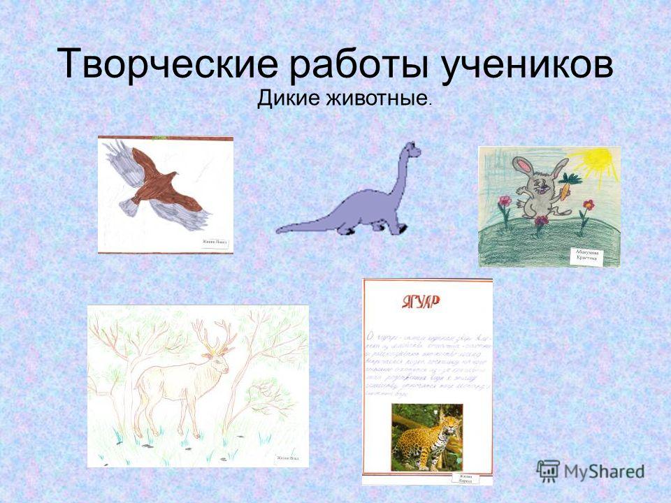 Творческие работы учеников Дикие животные.