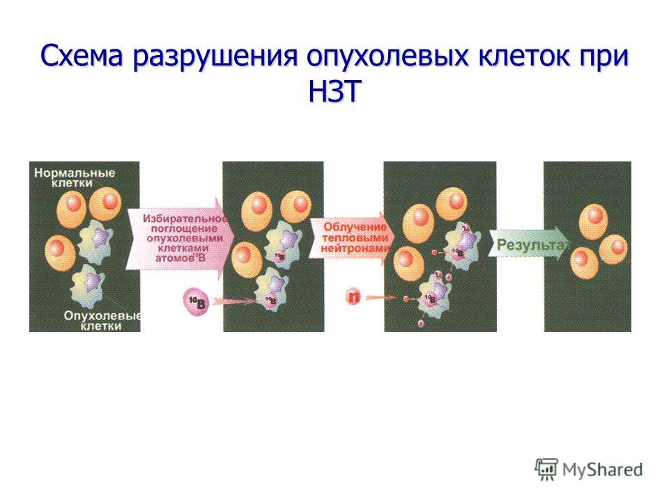 Схема разрушения опухолевых клеток при НЗТ